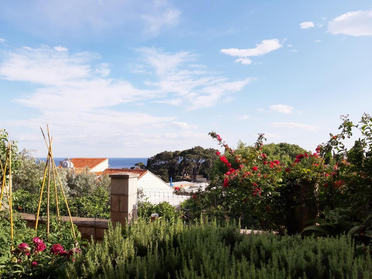 Apartments Deranja Dubrovnik Exterior photo